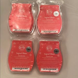New Scentsy Sugared Blooms Lot is 4